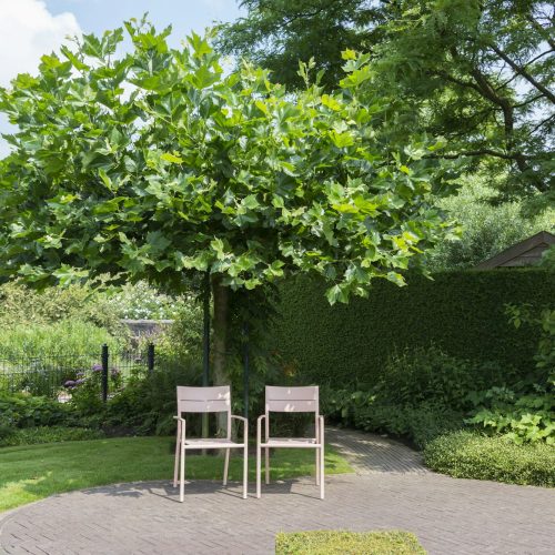 two pink furniture plastic chairs in garden